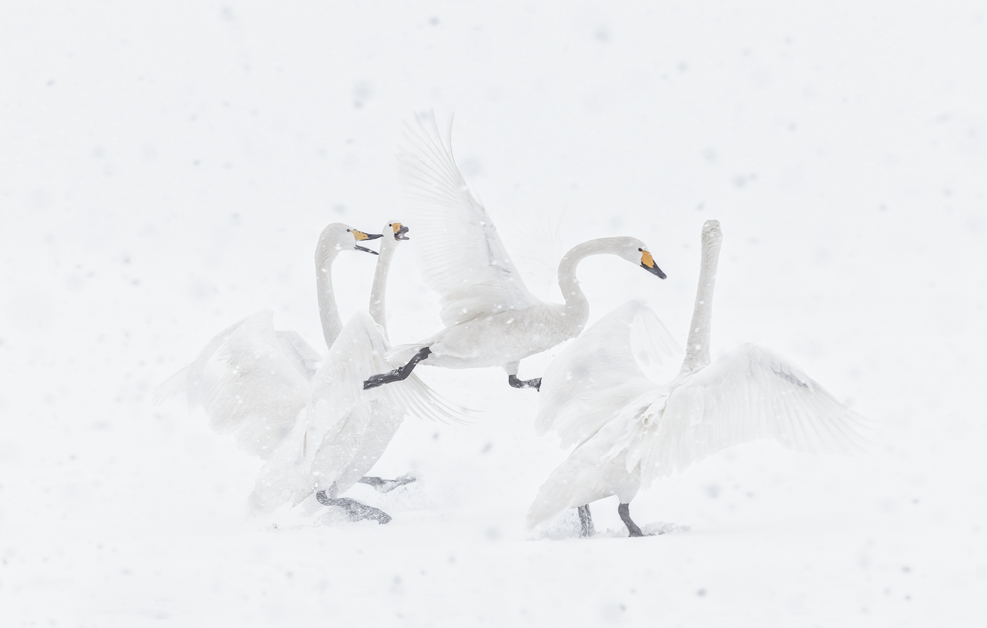 Japan_2014-2400-Edit-2